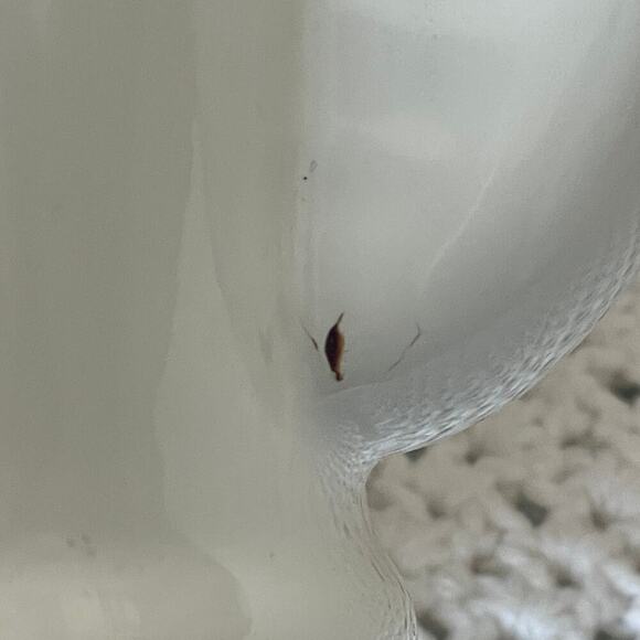 Le Creuset 2.1 Litre/2.2 Quart White/Ivory Tea Pot - Picture 8 of 16